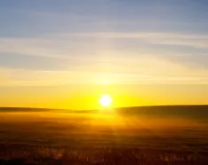 Image of a sunrise over a field