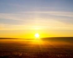 Image of a sunrise over a field