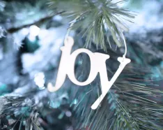 Holiday Joy