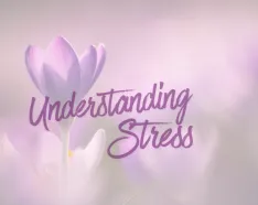 Understanding Stress