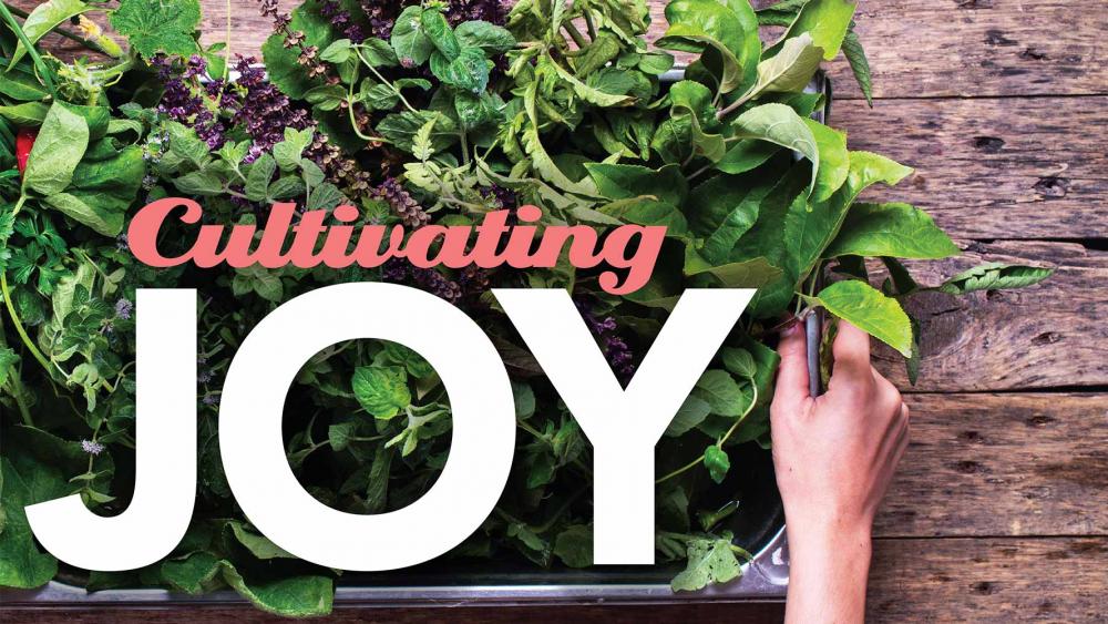 Image for post: New Webinar - Cultivating Joy!